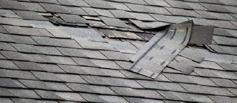 Shingle Roofing in Alliston, Ontario